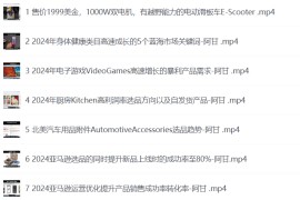 2025亚马逊跨境电商选品案例