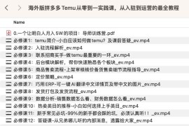 海外版拼多多Temu从零到一实践课，从入驻到运营的最全教程