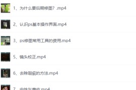 猫叔日记人像后期修图实战课
