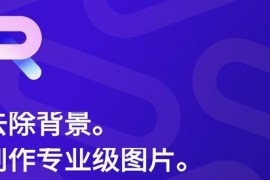 PhotoRoom v5.4.9 安卓绿化版