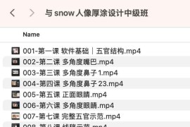 与snow人像厚涂设计中级班