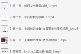 亚马逊保姆级全流程实操教程-跨境电商教程