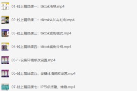 Tiktok线上60天落地陪跑训练营 奇迹出海
