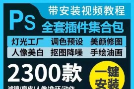 某宝购买的PR\AE\PS\LR\C4D全套插件合集，一键安装变大神！