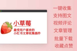 小草莓：小红书文章视频采集助手 一键批量收集/下载图片、视频等多种类型笔记内容