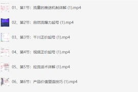 抖音直播带货陪跑起号千川系列