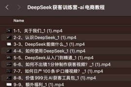 DeepSeek获客训练营-ai电商教程