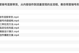 营销号混剪带货，从内容创作到流量变现的全流程，教你用营销号形式做混剪带货