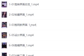 0基础+0门槛+短视频运营课程，玩赚自媒体快速吸粉变现课程，一对一教玩转抖音吸粉爆粉
