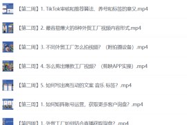 TikTok外贸工厂陪跑训练营