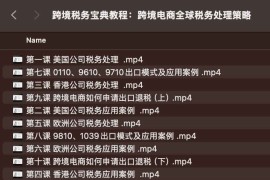跨境税务宝典教程：跨境电商全球税务处理策略