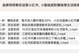 金牌导师教你运营小红书，0基础进阶赚钱博主训练课