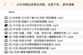 小红书商业运营全攻略，运营干货 ，新手速看