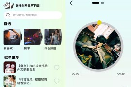 熊猫音乐暴走版 v1.0.5 电视 / 手机端 在线听歌 无损音乐下载