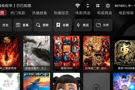 TVBox v2025.04.16 TV内置版