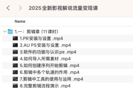 2025全新影视解说流量变现课