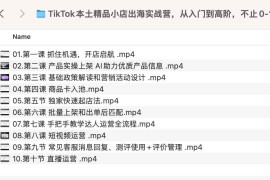 TikTok本土精品小店出海实战营，从入门到高阶，不止0-1