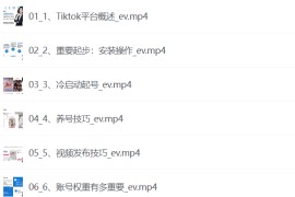 Tiktok运营实操课程，海外版抖音短视频直播带货