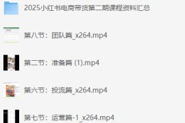 小红书电商带货课2期，月利润20个的小红书电商的有货源，无货源，虚拟产品，付费投流等整套玩法
