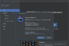 JetBrains GoLand(Go语言集成开发环境) 2025.1 直装激活版