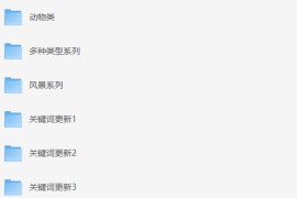 Midjourney 绘画关键词+配图 12000+