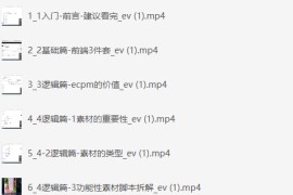 Ads视频投放课，tiktok短视频广告投放课