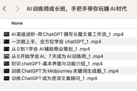 AI训练师成长班，手把手带你玩赚AI时代