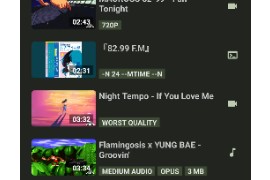 YTDLnis v1.7.3 安卓版