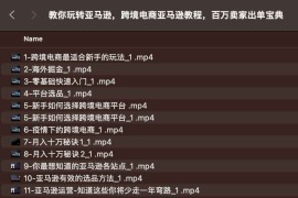 教你玩转亚马逊，跨境电商亚马逊教程，百万卖家出单宝典