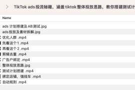 TikTok ads投流秘籍，涵盖tiktok整体投放思路，教你搭建测试计划