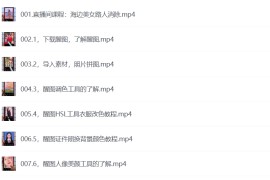 付老师拍摄剪辑修图AI全套课程