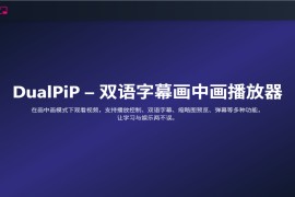  DualPiP – 双语字幕画中画播放器：高效语言学习与多任务娱乐新体验