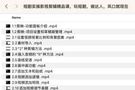 短剧实操影视剪辑精品课，玩短剧，做达人，风口就现在