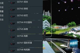 我的电视 v1.3.9.8 TV版