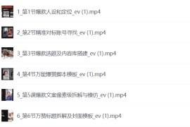 小红书个人IP陪跑课程，开启你职业生涯的PLAN-B，素人也能火成为百万博主的流量密码