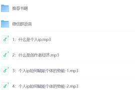 自媒体与个人IP，始于自媒体，高于自媒体（101节音频+资料）