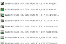 王孟南《台球30天速成班》