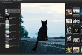NeeView – 优雅美观的图像查看器