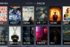 OK Player Pro v25.04.04 TV-emby版