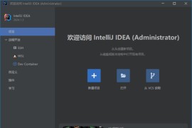 Jetbrains IntelliJ IDEA(Java集成开发环境) 2025.1 直装激活版