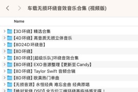 车载无损环绕音效音乐合集 (视频版)