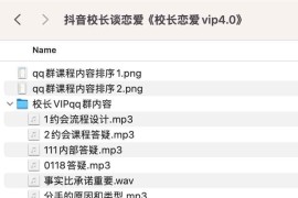 抖音校长谈恋爱《校长恋爱vip4.0》