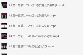 小红书博主爆粉变现课，深入解读小红书商业逻辑，带你进阶变现大咖