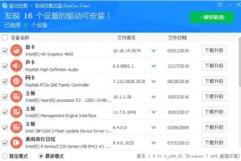驱动总裁(驱动程序管理软件) v2.16.0.0 去广告绿色版