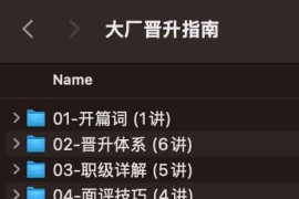 大厂晋升指南