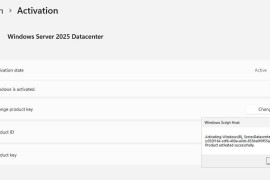 docker-kms：永久激活任意版本的 Windows 和 Office