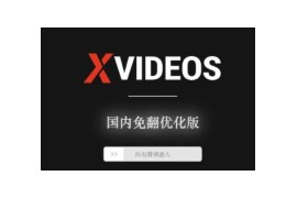X站：国内免翻优化版学习网站