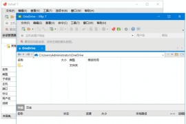 NetSarang Xshell Plus(Xshell/Xftp合集) v8.0.0010 中文绿色版