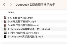DeepSeek实际应用手把手教学