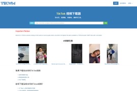 免费国际版抖音Tiktok视频无水印下载器-TikWM